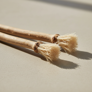 মেসওয়াক ২ প্যাকেট